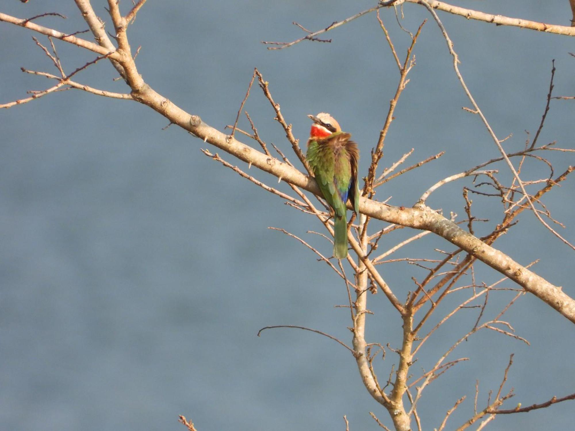 Dagama Dam - White River - Kestrel - House 21 Eksteriør bilde
